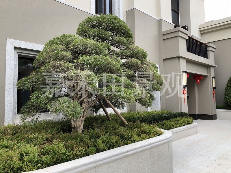 如何選擇專業(yè)的景觀設計師或施工隊伍？
